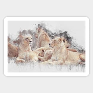 Lioness Lion Animal Wild Africa Jungle Safari Wildlife Magnet